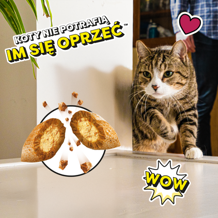 Dreamies Przysmak Dla Kota Chrupiące Paszteciki Z Nadzieniem Z Nutą Kocimiętki 6x60g