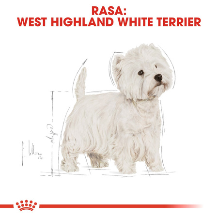 Royal Canin BHN West Highland White Terrier Adult 1,5kg Karma Sucha Dla Psów Dorosłych Rasy West Highland White Terrier