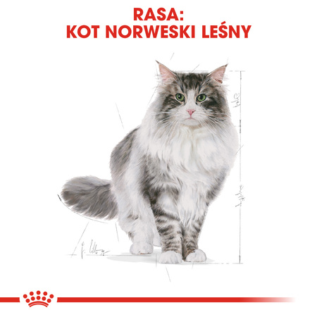 Royal Canin FBN Norvegian Forest Cat Adult 2kg Karma Sucha Dla Kotów Dorosłych Rasy Norweski Leśny