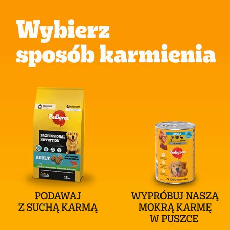Pedigree Adult Wybór Smaków 4x100g Mokra Karma Dla Dorosłych Psów Kurczak Ryba W Galaretce