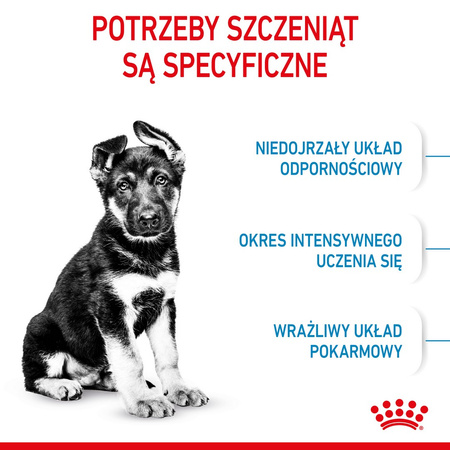 Royal Canin Maxi Puppy 2x15kg Karma Sucha Dla Szczeniąt, Od 2 Do 15 Miesiąca Życia, Ras Dużych