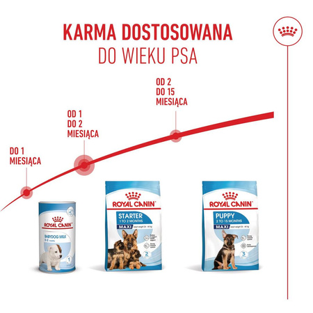 Royal Canin Maxi Starter Mother & Babydog 4kg Karma Sucha Dla Suk W Ciąży I Okresie Laktacji Oraz Szczeniąt Ras Dużych