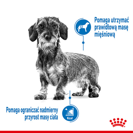 Royal Canin Mini Light Weight Care 3kg Karma Sucha Dla Psów Małych Ras Z Tendencją Do Nadwagi