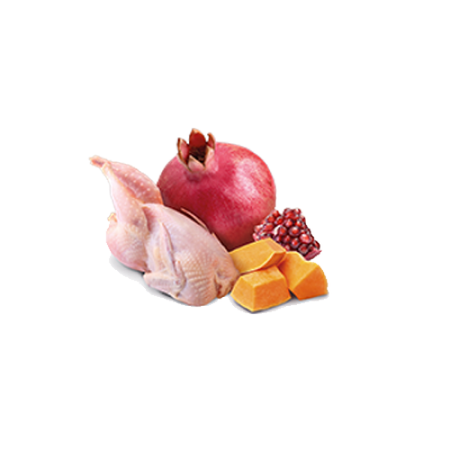 Farmina N&D Dog Quail Pumpkin 285g Mokra Karma Dla Psa Przepiórka i Dynia