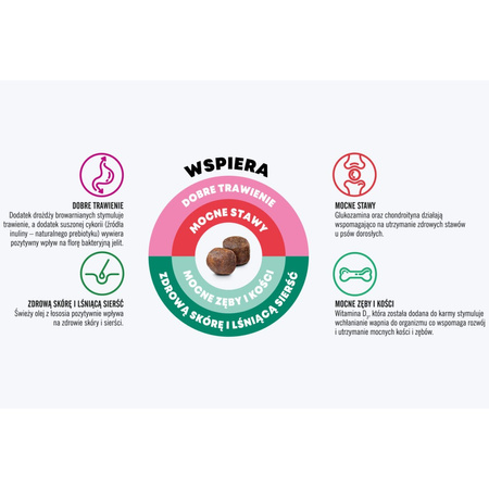 John Dog Good Form 3kg Sucha Karma Dla Psów Małych Ras Cielęcina Z Jagnięciną