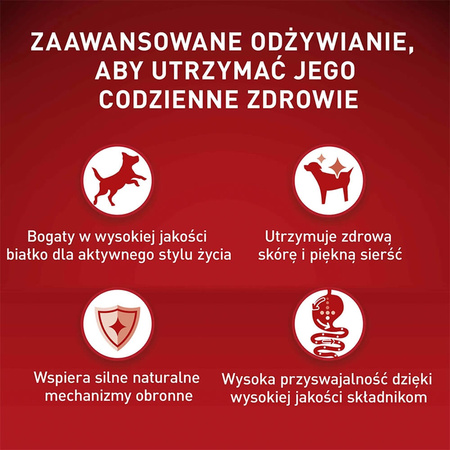 Purina One Mini Adult 800g Sucha Karma Dla Psów Małych Ras Z Wołowiną I Ryżem