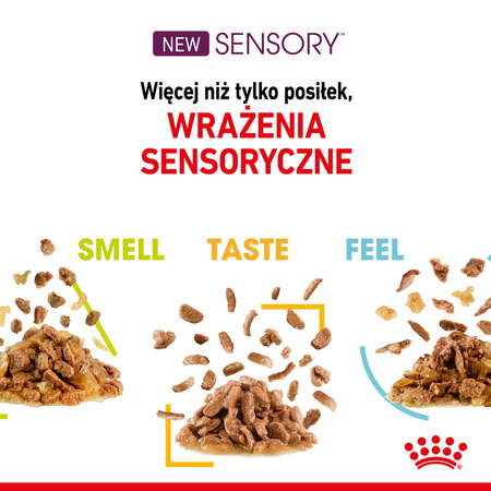 Royal Canin FHN Sensory Taste 12x85g Karma Mokra Kawałki W Sosie Dla Kotów Dorosłych Pobudzająca Wrażenia Smakowe