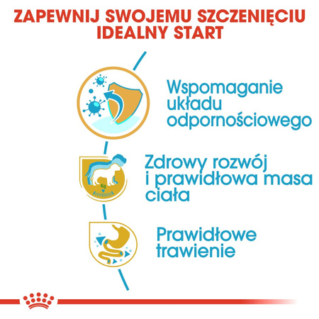 Royal Canin BHN Labrador Retriever Puppy 12kg Karma Sucha Dla Szczeniąt Do 15 Miesiąca Rasy Labrador Retriever