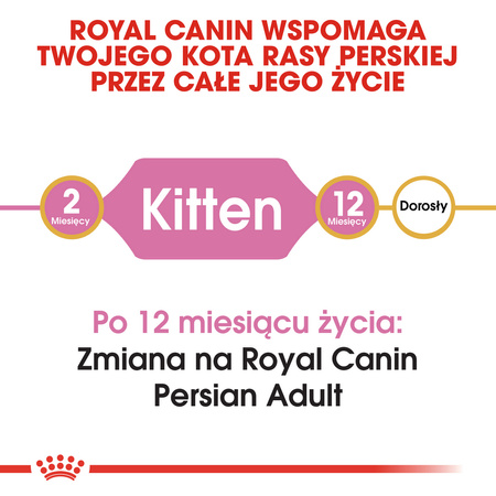 Royal Canin FBN Persian Kitten 2kg Karma Sucha Dla Kociąt Do 12 Miesiąca Życia Rasy Pers
