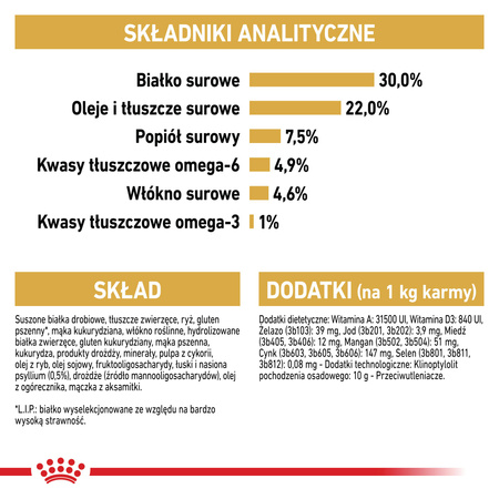 Royal Canin FBN Persian Adult 4kg Karma Sucha Dla Kotów Dorosłych Rasy Pers
