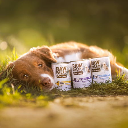 Vet Expert Raw Paleo Adult Monoprotein 400g Mokra Karma Dla Psa z Indykiem