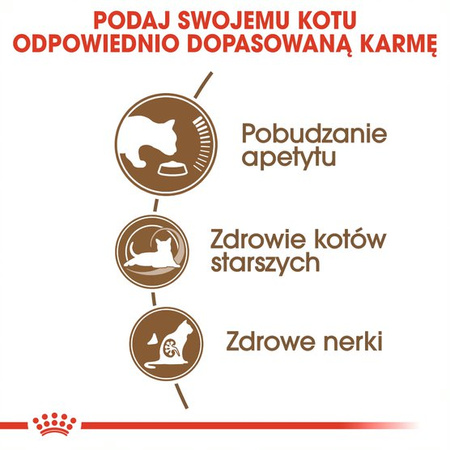 Royal Canin Ageing +12 Senior 2kg Karma Sucha Dla Kotów Dojrzałych Powyżej 12 Roku Życia