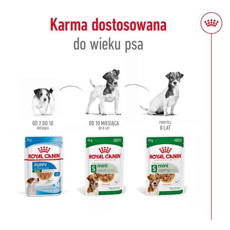 ROYAL CANIN SHN Mini Adult 12x85g karma mokra w sosie dla psów dorosłych, ras małych