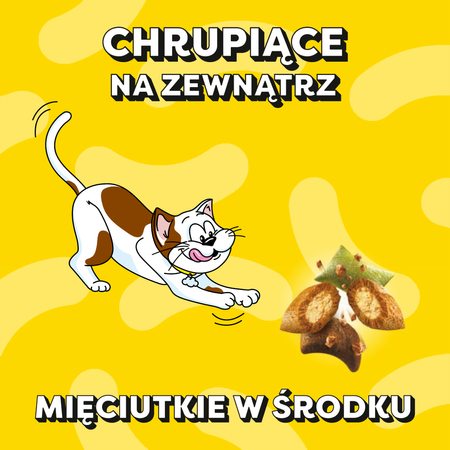 DREAMIES Variety Snack Box – karma uzupełniająca dla kotów (z kurczakiem, z serem i o smaku łososia) - 720g - 12x60