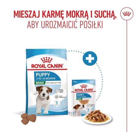 Royal Canin Mini Puppy 4kg Karma Sucha Dla Szczeniąt Od 2 Do 10 Miesiąca Życia, Ras Małych