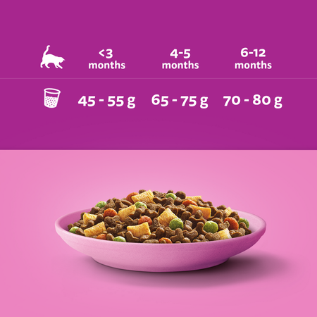 WHISKAS Junior Kurczak 14kg - sucha karma dla kociąt