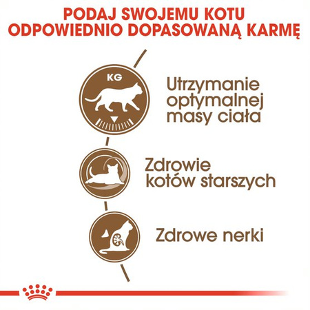 Royal Canin Ageing Sterilised +12 Senior 4kg Karma Sucha Dla Kotów Dojrzałych Sterylizowanych Powyżej 12 Roku Życia