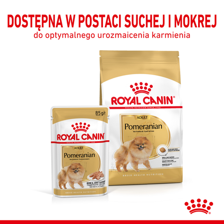 Royal Canin Pomeranian Adult 24x85g Karma Mokra, Pasztet Dla Psów Dorosłych Rasy Szpic Miniaturowy
