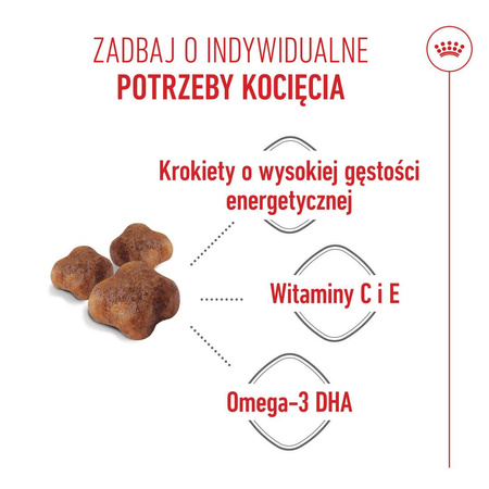 Royal Canin Mother&Babycat 4kg Karma Sucha Dla Kotek W Okresie Ciąży Laktacji i Kociąt Od 1 Do 4 Miesiąca Życia