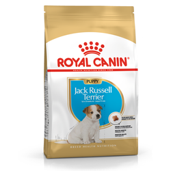 Royal Canin BHN Jack Russell Terrier Puppy 3kg Karma Sucha Dla Szczeniąt Do 10 Miesiąca Rasy Jack Russel Terrier