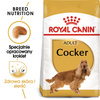 Royal Canin BHN Cocker Spaniel Adult 12kg Karma Sucha Dla Psów Dorosłych Rasy Cocker Spaniel