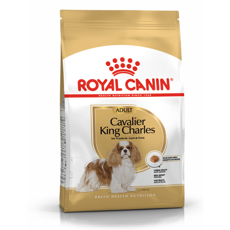 Royal Canin BHN Cavalier King Charles Spaniel Adult 1,5kg Karma Sucha Dla Psów Dorosłych Rasy Cavalier King Charles Spaniel