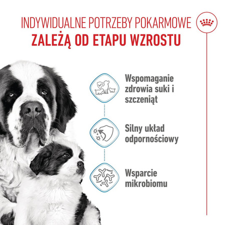 Royal Canin Giant Starter Mother & Babydog 15kg Karma Sucha Dla Suk W Czasie Ciąży Laktacji I Szczeniąt Ras Olbrzymich