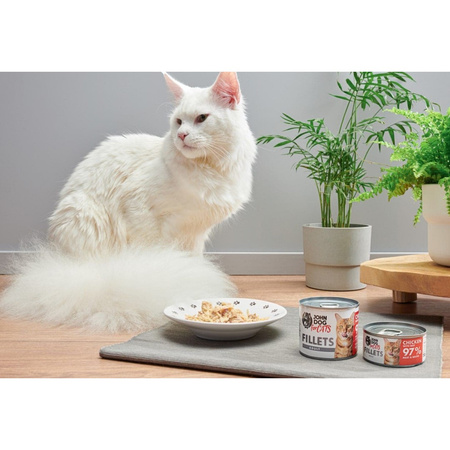 John Dog for Cats Mokra Karma Dla Dorosłych Kotów Filety Kurczak Z Wołowiną 70g