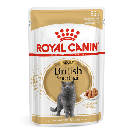 ROYAL CANIN British Shorthair 85g karma mokra w sosie dla kotów dorosłych rasy brytyjski krótkowłosy