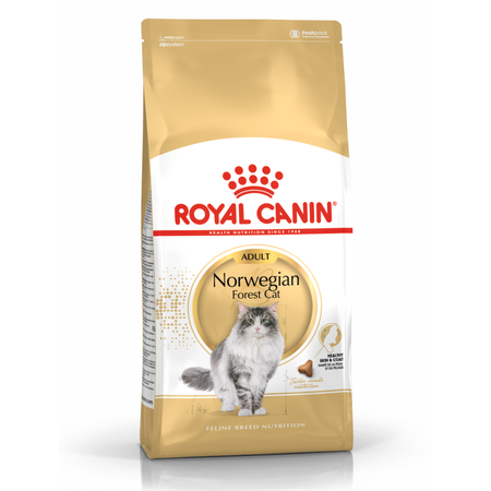 Royal Canin FBN Norvegian Forest Cat Adult 2kg Karma Sucha Dla Kotów Dorosłych Rasy Norweski Leśny