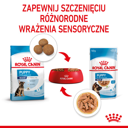 Royal Canin Maxi Puppy 10x140g Karma Mokra W Sosie Dla Szczeniąt Do 15 Miesiąca Życia Ras Dużych