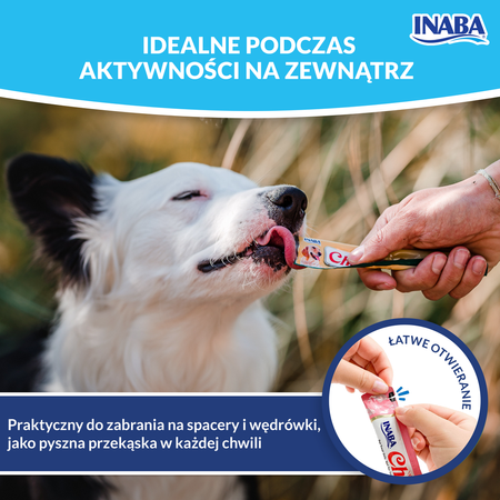 Inaba Dog Churu Przysmak Pasta Dla Psa 4x14g Łosoś z Warzywami