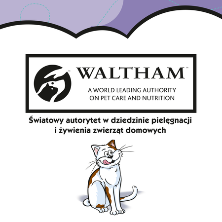 Dreamies z Wyśmienitą Kaczką 6x60g (360g) Przysmaki dla kota