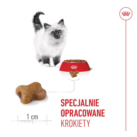 Royal Canin FHN Kitten 2kg Karma Sucha Dla Kociąt Od 4 Do 12 Miesiąca Życia