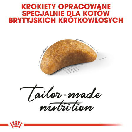 Royal Canin FBN British Shorthair Kitten 2kg Karma Sucha Dla Kociąt Do 12 Miesiąca Rasy Brytyjski Krótkowłosy