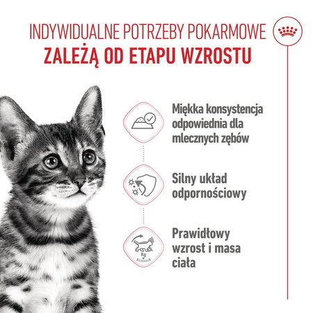 Royal Canin FHN Kitten Sterilised W Sosie 12x85g Karma Mokra Dla Kociąt Sterylizowanych Do 12 Miesiąca Życia