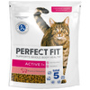 Perfect Fit Active 1+ z Wołowiną 6x750g Sucha Karma Dla Aktywnych Dorosłych Kotów