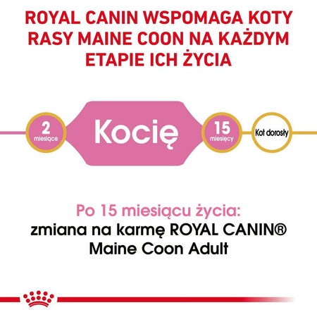 Royal Canin FBN Maine Coon Kitten 4kg Karma Sucha Dla Kociąt Do 15 Miesiąca Rasy Maine Coon