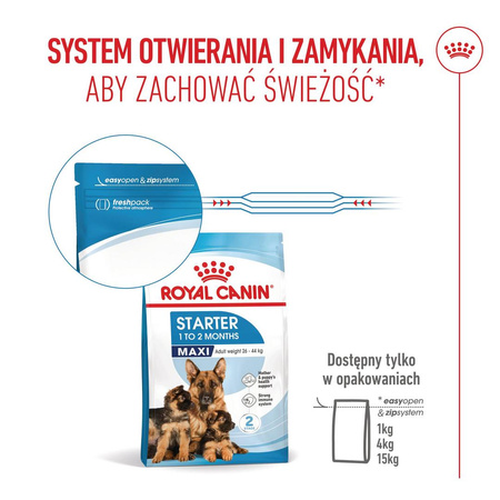 Royal Canin Maxi Starter Mother & Babydog 4kg Karma Sucha Dla Suk W Ciąży I Okresie Laktacji Oraz Szczeniąt Ras Dużych