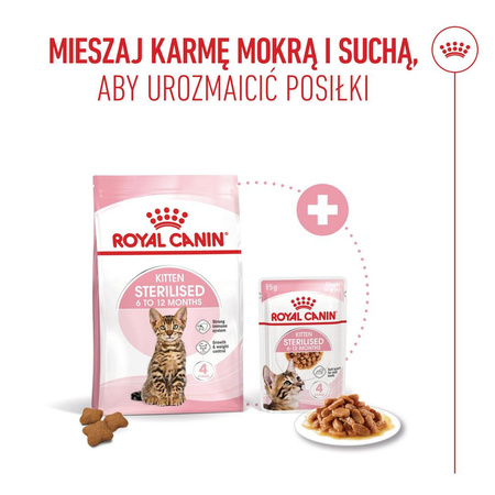 Royal Canin Kitten Sterilised 3,5kg Karma Sucha Dla Kociąt Sterylizowanych Od 4 Do 12 Miesiąca Życia