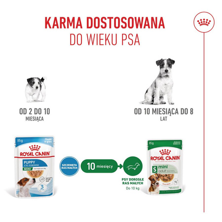 ROYAL CANIN SHN Mini Puppy 12x85g karma mokra w sosie dla szczeniąt do 10 miesiąca, ras małych