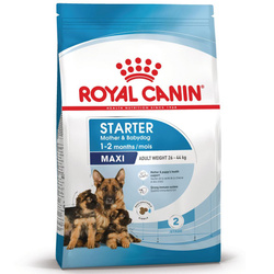 Royal Canin Maxi Starter Mother & Babydog 15kg Karma Sucha Dla Suk W Ciąży I Okresie Laktacji Oraz Szczeniąt Ras Dużych