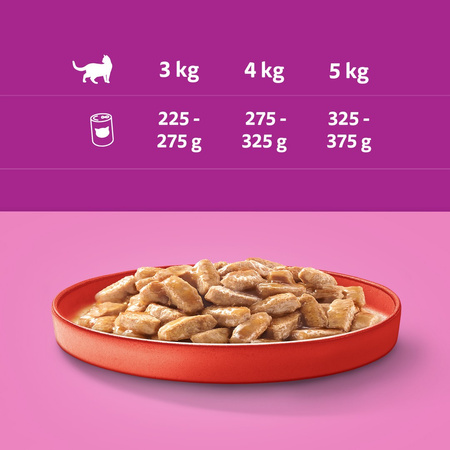 WHISKAS 1+ z Wołowiną w Sosie 24x400g Puszka Mokra karma dla kota 1+