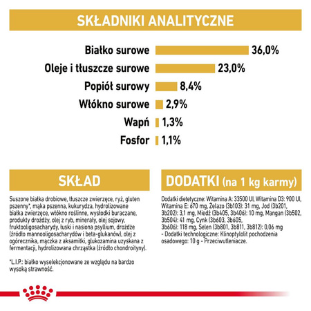 Royal Canin FBN Maine Coon Kitten 4kg Karma Sucha Dla Kociąt Do 15 Miesiąca Rasy Maine Coon