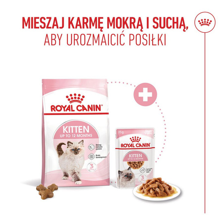 Royal Canin FHN Kitten 2kg Karma Sucha Dla Kociąt Od 4 Do 12 Miesiąca Życia