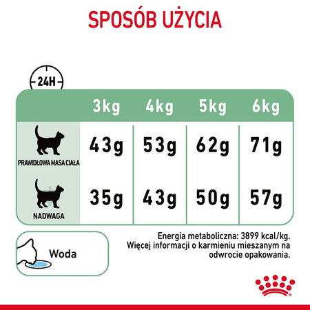 Royal Canin Digestive Care 10kg Karma Sucha Dla Kotów Dorosłych Wspomagająca Przebieg Trawienia