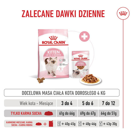 Royal Canin FHN Kitten 10kg Karma Sucha Dla Kociąt Od 4 Do 12 Miesiąca Życia