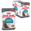 Royal Canin FCN Urinary Care w Sosie 12x85g Karma Mokra Dla Kotów Ochrona Dolnych Dróg Moczowych