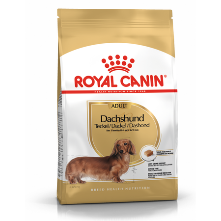 Royal Canin BHN Dachshund Adult 1,5kg Karma Sucha Dla Psów Dorosłych Rasy Jamnik