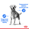 Royal Canin Maxi Light Weight Care 12kg Karma Sucha Dla Psów Dużych Ras Z Tendencją Do Nadwagi